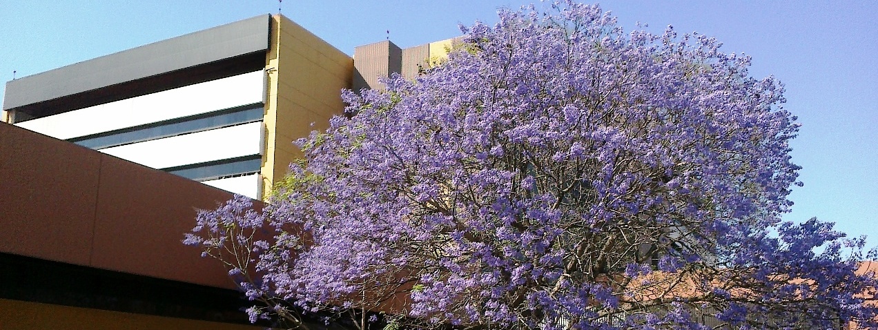 Hospital General San Juan de Dios2